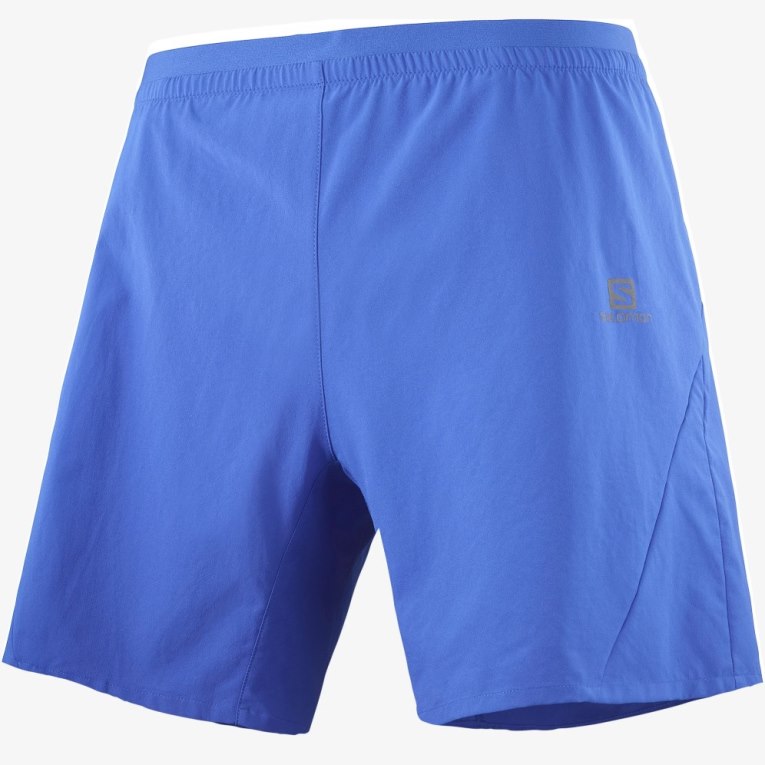 Bermudas Salomon Cross 7'' Hombre Azules | MX UMPA320